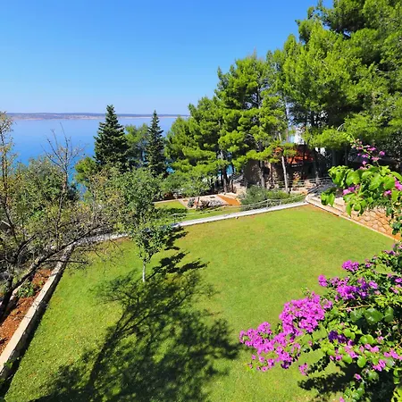 Daire Candela, No 6 *