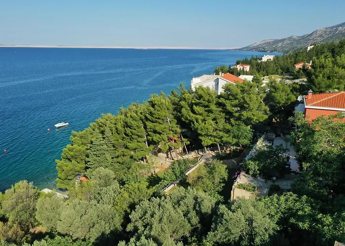 Candela, No 6 * 스타리그라드 파클레니차