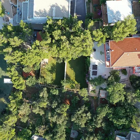 Candela, No 6 * Starigrad Paklenica