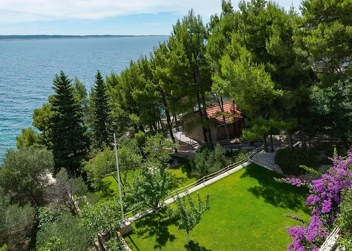 Candela, No 6 סטאריגרד-פקלניצה